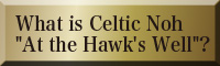 What is Celtic Noh [At the Hawk's Well] (The Hawk Princess)?